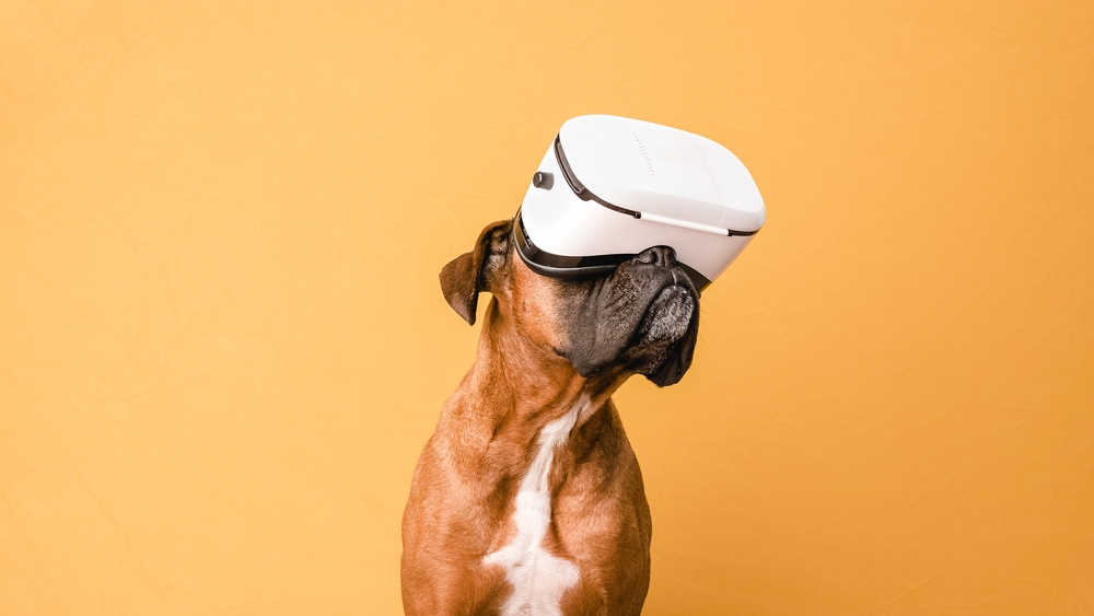 Dog with VR